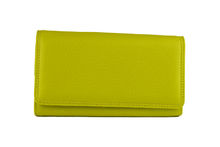 DAMSKI PORTMONETA EWTINI